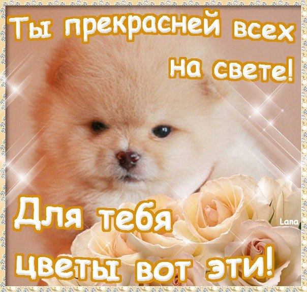 Картинки самой красивой девушке на свете доброе утро, медовым