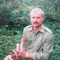 Володя Цветков