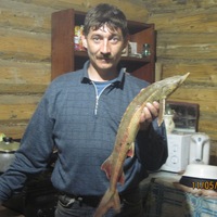 Сергей Быков