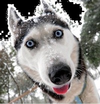 Александр Захаров