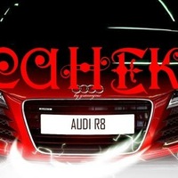 Александр Бурцев