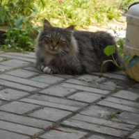 Ермолаев Юрий