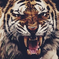 Артем Захаров