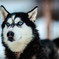 Анастасия Раннева