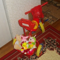Янина Рудницкая