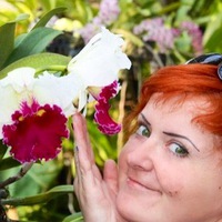Алла Скакунова
