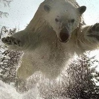 Владимир Максимычев