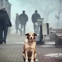 Али Кожахметов