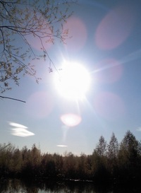 Александр Кулешов