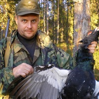 Дмитрий Кулиш