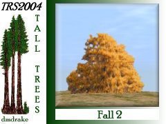 Fall 2 10m