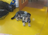 Илья Соколов