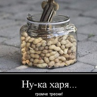 Евгений Камчатов