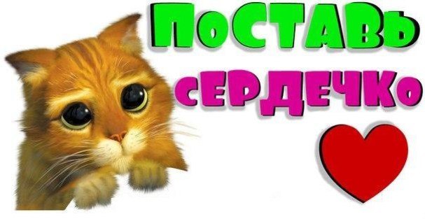 Своими, прикольные картинки с надписями на стену в контакте