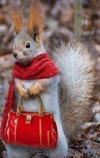 Татьяна Соколова