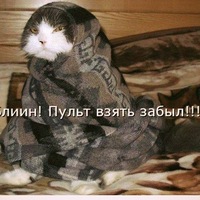 Димас Зубов