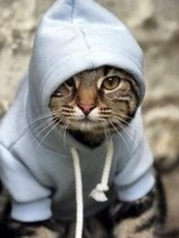 Александр Александрович