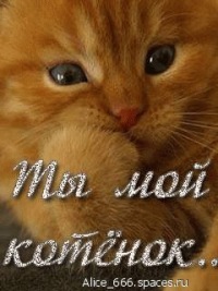 Аву, картинка с надписью мой котенок