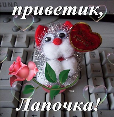 Открытки приветик любимый мой, днем рождения вика