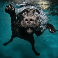 Максим Морозов