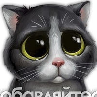 Миша Владимирович