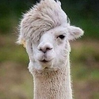 Андрей Калабин
