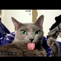 Виктор Тарасов