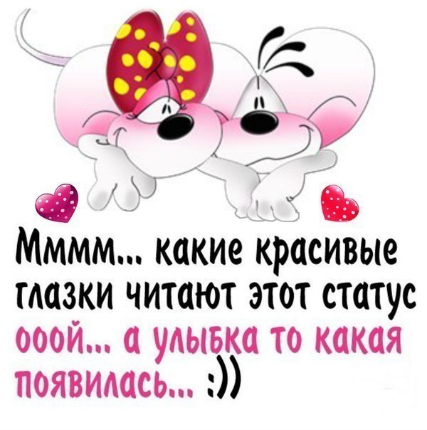 Статусы для вацапа смешные в картинках, днем