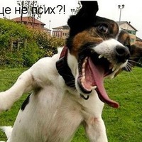Аватар