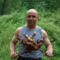 Сергей Орлов