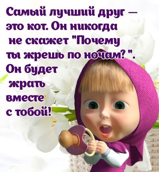 Маша и медведь про работу картинки с надписями, картинки