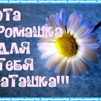 Наталья Черникова