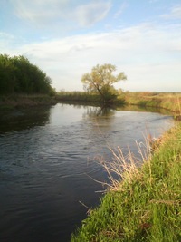 Юрий Беляев