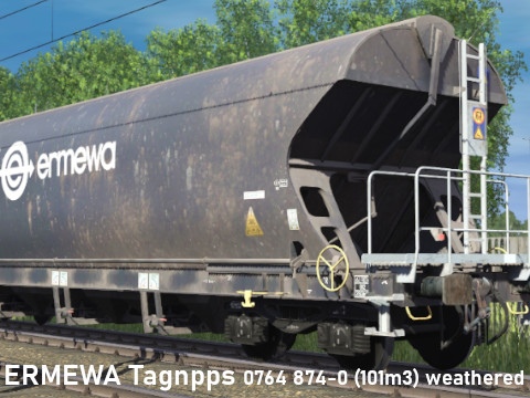 Ermewa Tagnpps 0764 874-0 (101m3) weathered