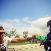 Dimon Mel