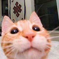 Василий Михайлов