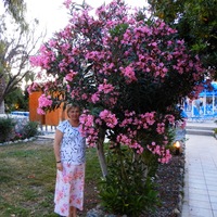 Валентина Никитина