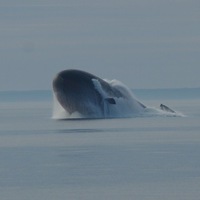 Валентин Морозов