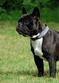 Александр Семенов