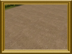 DS Ploughed Field 03 2004spec