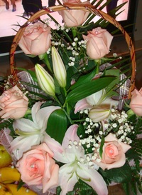 Ирина Васильева