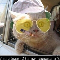Катюшка Шипулина