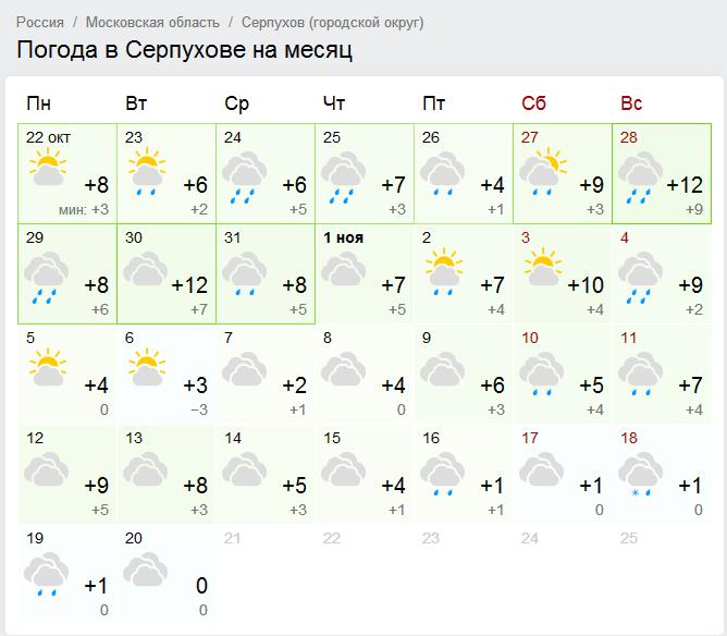 Афиша день города. День города серпухов 2022. Описание совместного празднования 9 мая. Афиша серпухов. Программа серпухов на сегодня.