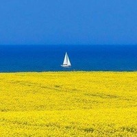 Танюша Патиченко