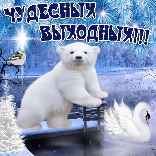Картинки с субботой прикольные с надписями зимние