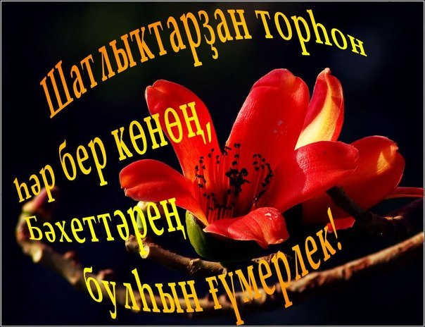 Открытки, открытки на башкирском языке с юбилеем