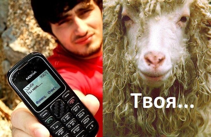 Приколы про кавказцев картинками, вербное воскресенье