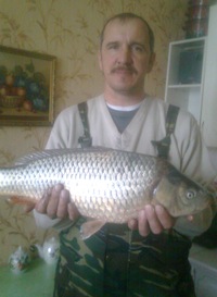 Александр Гаврилов