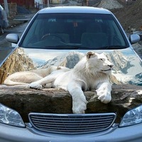 Андрей Николаевич