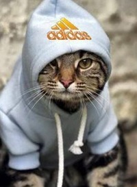 Діма Литвин